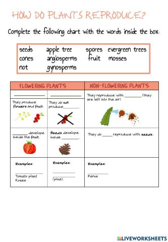 Classifying plants by reproduction
