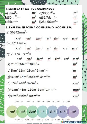 Medidas de superficie