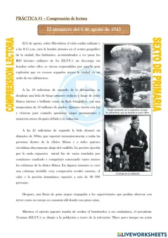 Comprensión de lectura