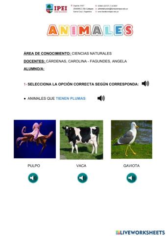 Actividad de Ciencias Naturales 05-03