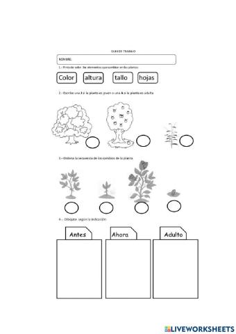 Las Leyendas Ecuatorianas