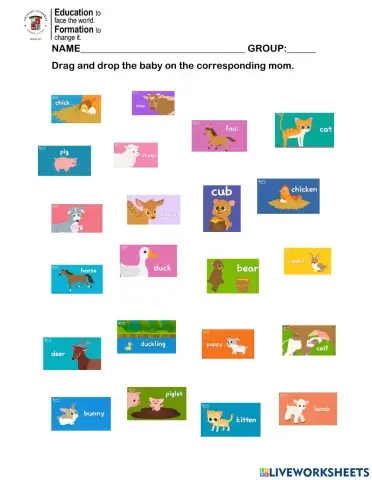 Animals and their babies