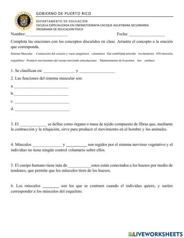 Sistema Muscular Conceptos