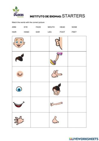 Starters Vocabulary 1