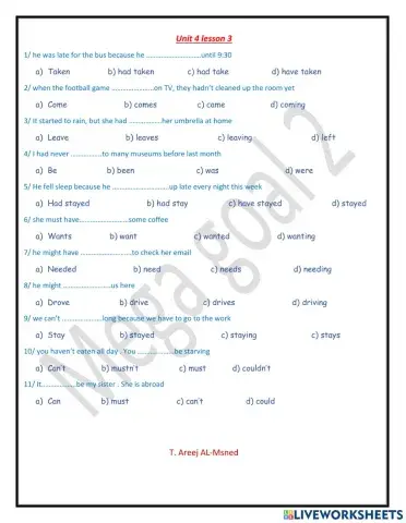 Mega2- unit 4 lesson 3