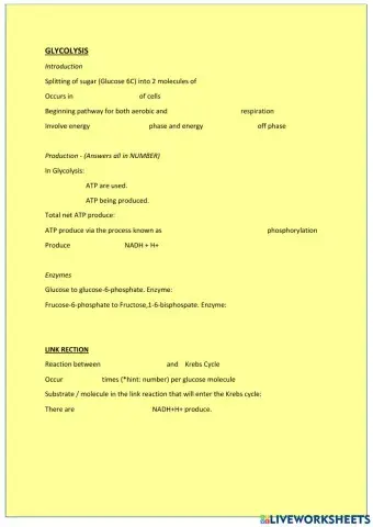 Glycolisis and Link Reaction