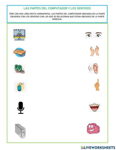 PARTES DEL COMPUTADOR Y SENTIDOS 