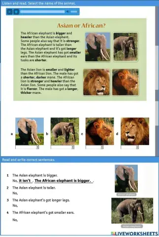 Asian or african tiger 5 macmillan