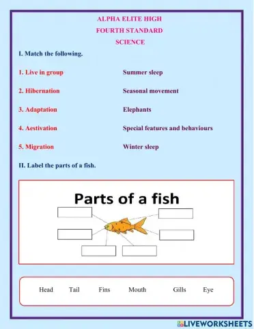 Adaptation in animals