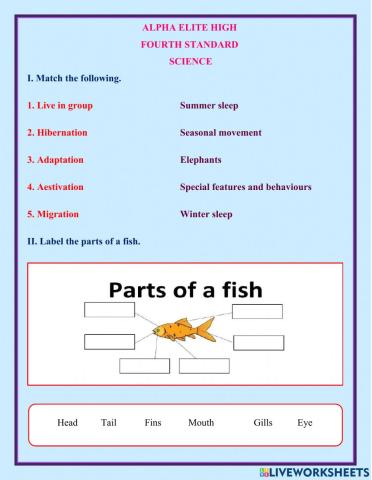 Adaptation in animals