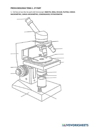 Aparells i sistemes cos humà 2