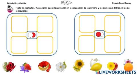 Conceptos básicos: delante-detras