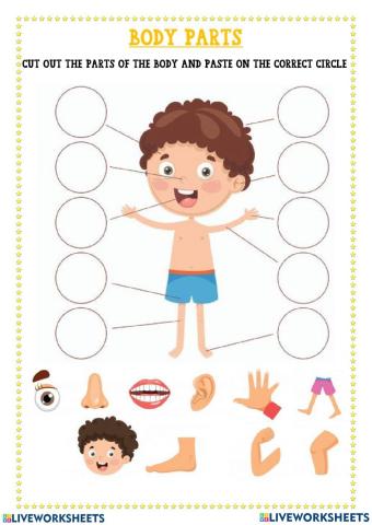 Body parts
