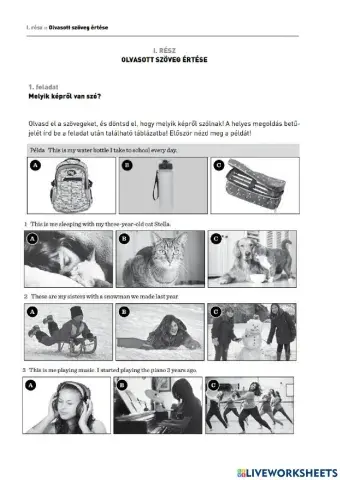 Kompetencia-olvasás