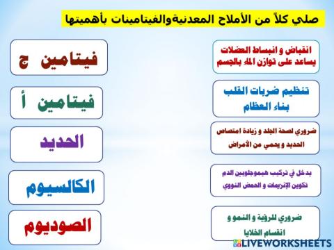 الغذاء المتوازن