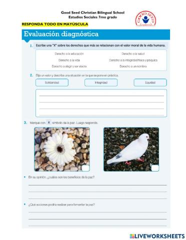 Evaluación diagnóstica U5
