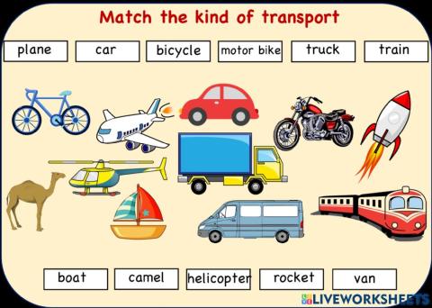 Kinds of transport