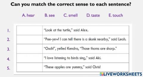 Sensory Language (Five Senses)