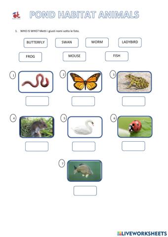 Pond Habitat Animals