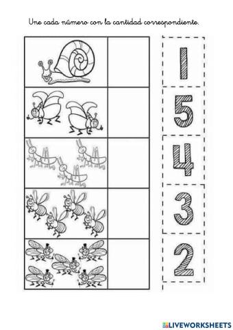 Cantidades numericas