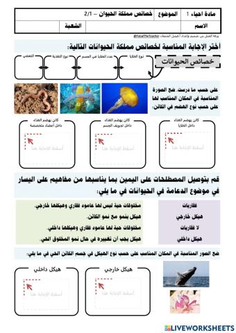 خصائص مملكة الحيوانات