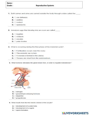 Reproductive Systems