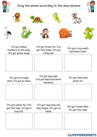 Animals descriptions