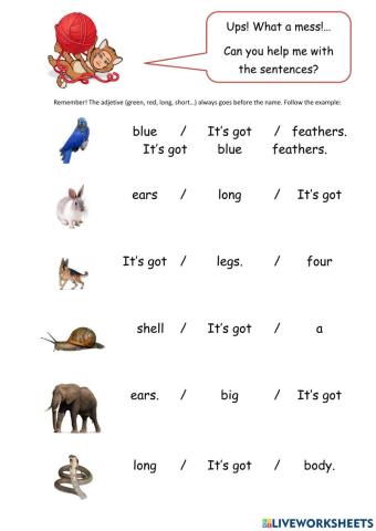 Animals descriptions