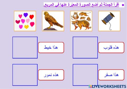 الثروة اللغوية - المفرد والجمع