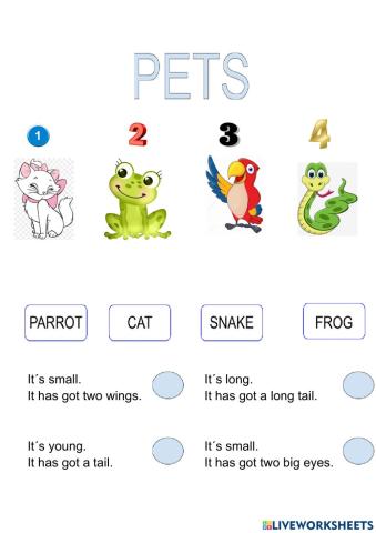Pets match and descriptions