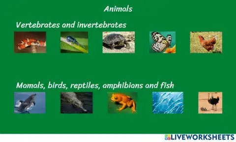 Science plants and animals game 2