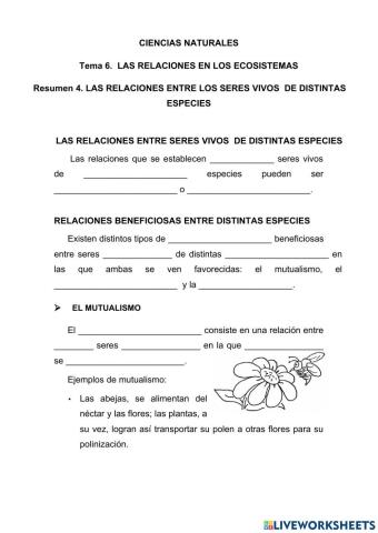 Las relaciones entre los seres vivos de distintas especies
