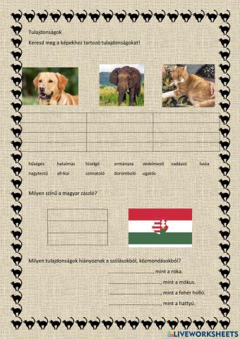 Melléknév gyakorló