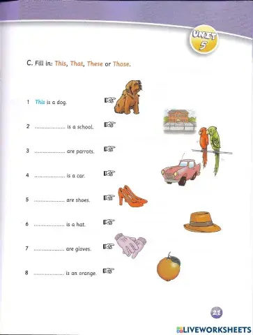 This-That-These-Those