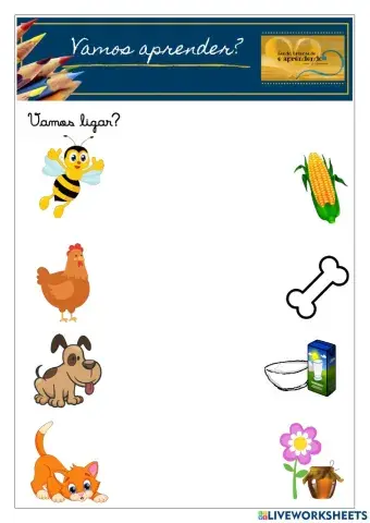 Animais e seus alimentos