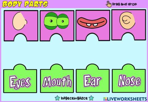 Body Parts (Puzzle Match)