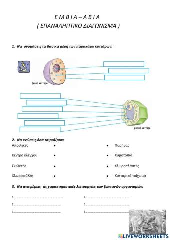 Έμβια-άβια επαναληπτικό