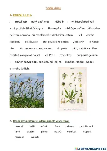 Vzory podstatných jmen