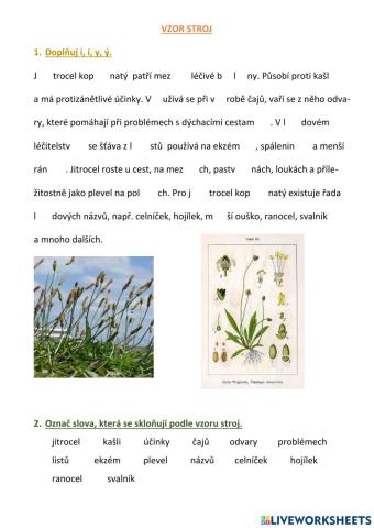 Vzory podstatných jmen