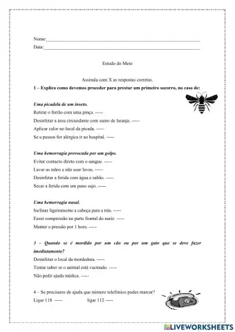 Ficha Estudo do meio 3º ano