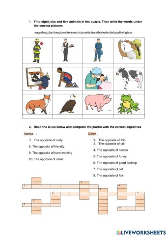 Introduction 2nd eso