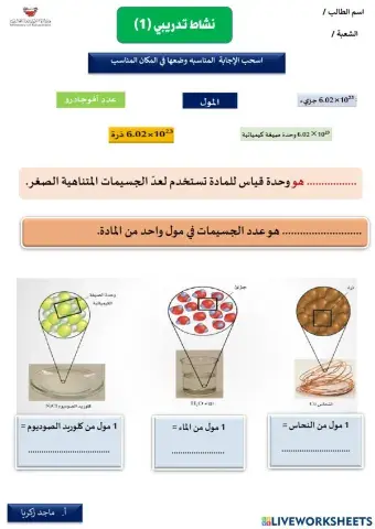 نشاط تدريبي 1 المول