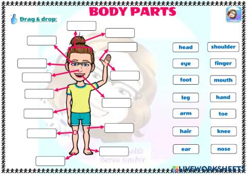 Grade 2-Body Parts-Drag-drop