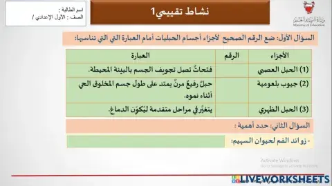 نشاط خصائص الحبليات