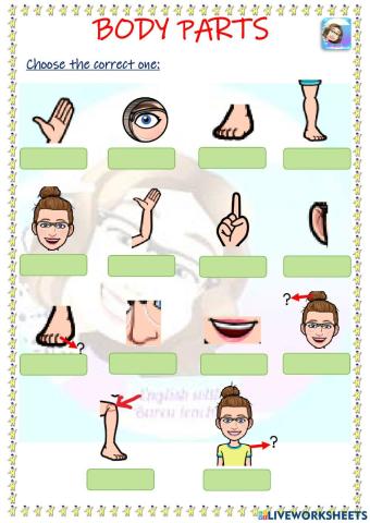 Grade 2-Body Parts-Choose the correct one