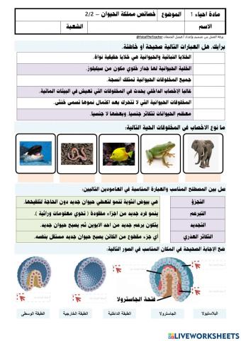 خصائص مملكة الحيوانات