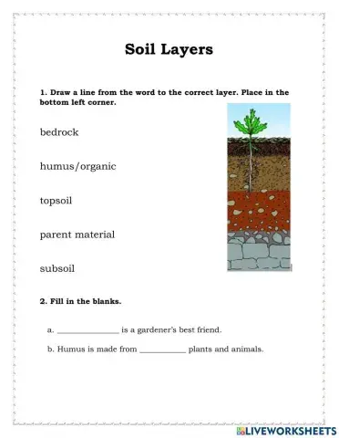 Soil Layers
