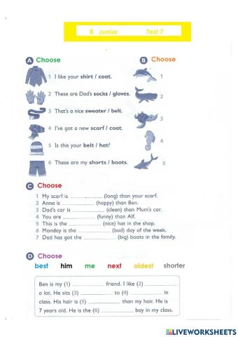 Comparative - superlative-object pronouns