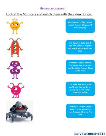 Review colors, numbers and parts of the body