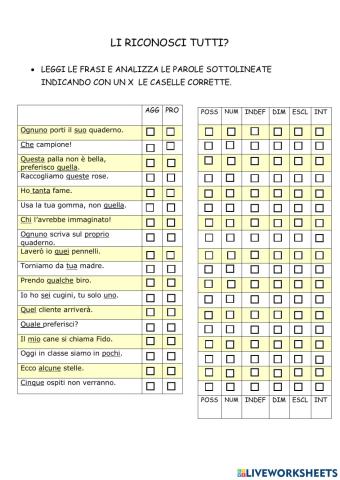 Aggettivo o pronome?